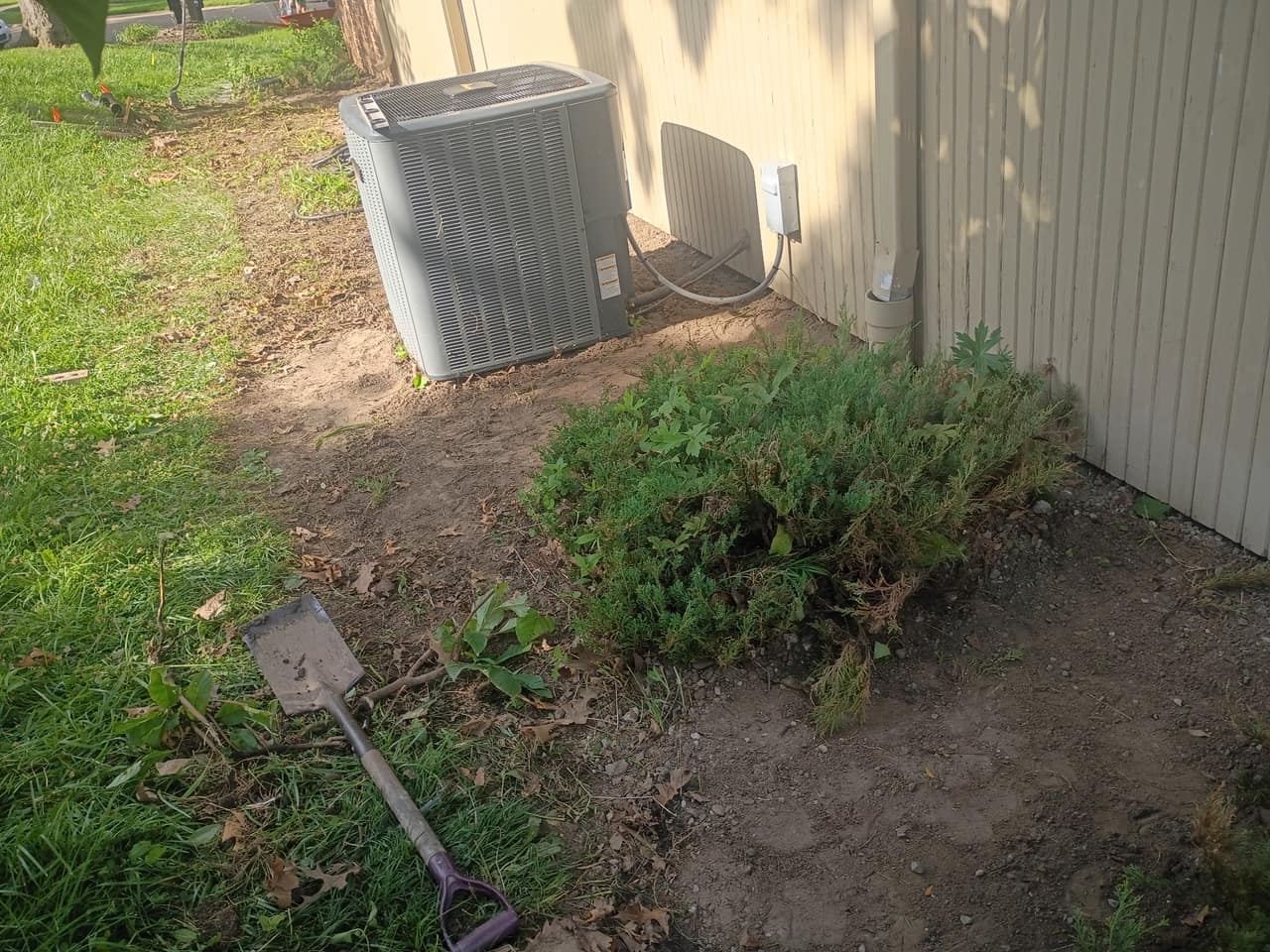 Overgrown junipers and weeds crowding the corner of a building beside an air conditioning unit
