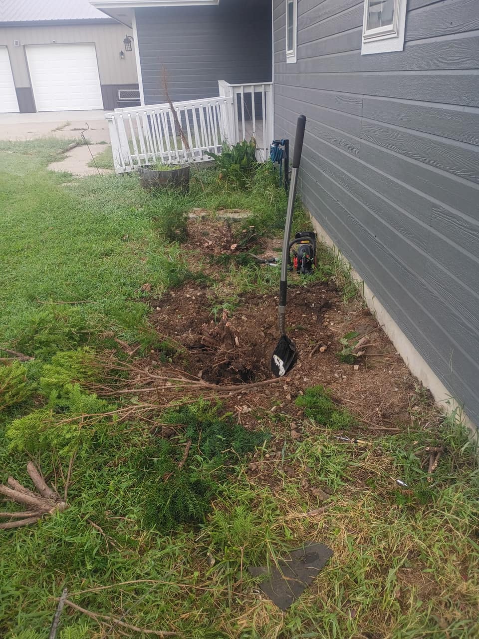 Overgrown juniper bed and weeds along the side of a house before clearing