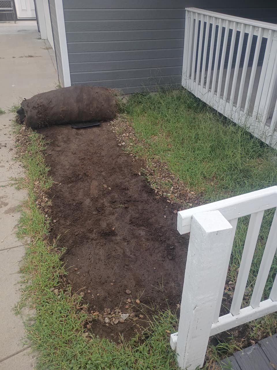 Bed cleared to bare soil and graded, with sod rolled back ready to finish
