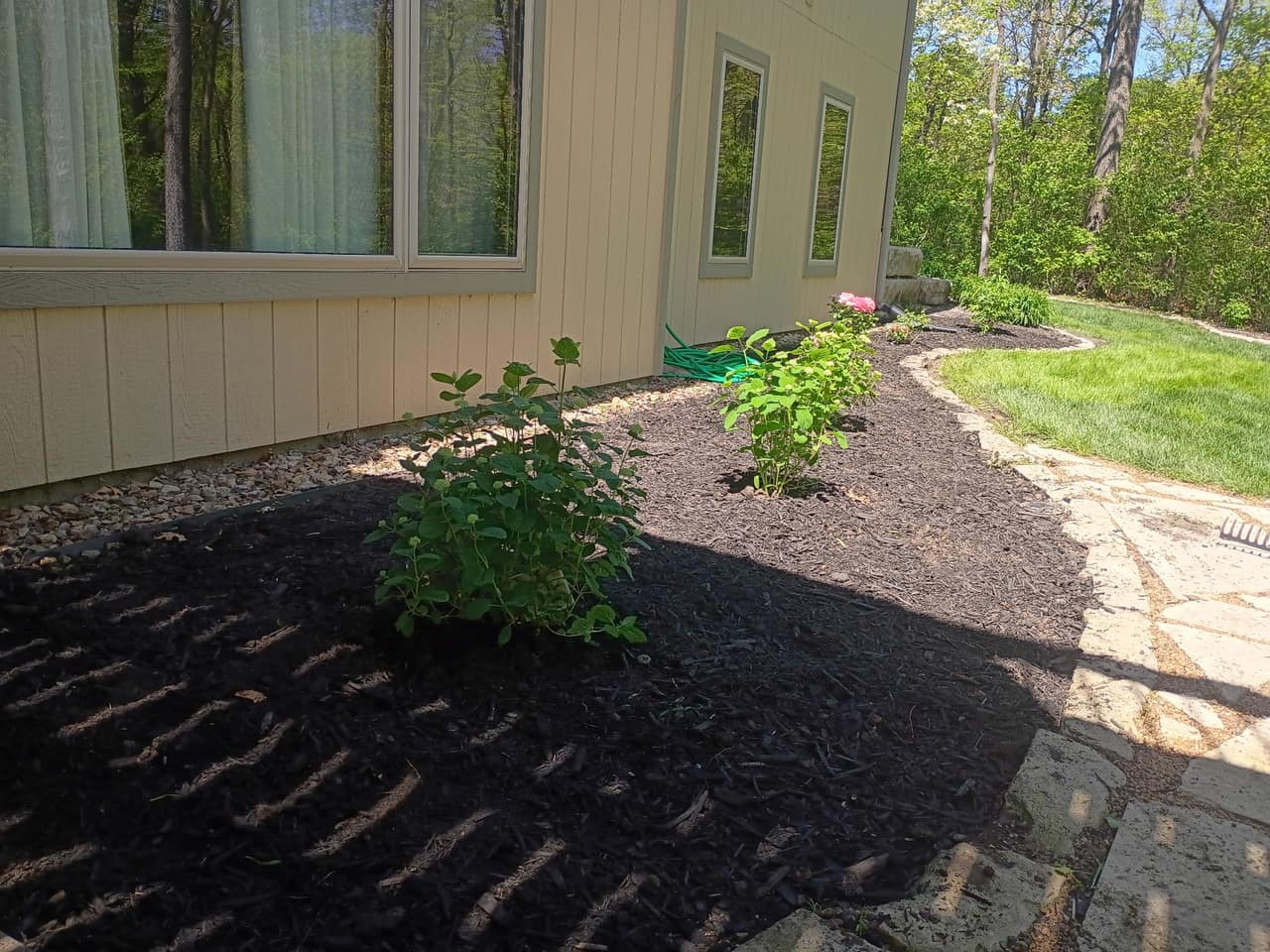 Freshly mulched bed with new shrubs planted along a house wall