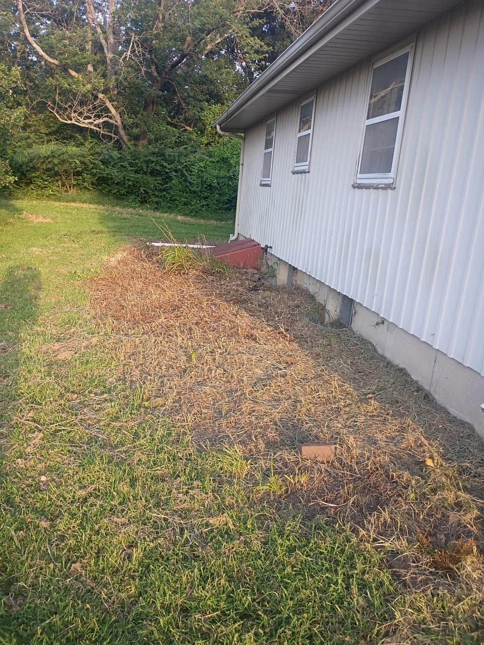 The same wall cleared back to the foundation with the ground cut flat